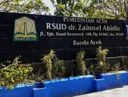 Layanan Bedah Anak RSUDZA Jadi Sorotan Dunia Berkat Inovasi “Ice Melon Aceh” di WOFAPS 2025 Turki