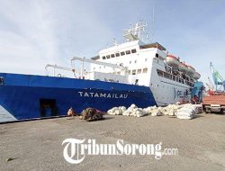 Jadwal Kapal PELNI KM Labobar Desember 2025: Rute dan Harga Terkini