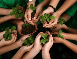 Menjelang 40 Tahun, Bisnis Indonesia Tanam Pohon untuk Masa Depan