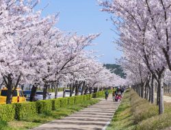 Pariwisata Jepang Kehilangan Rp 20 Triliun Akibat Konflik dengan Tiongkok