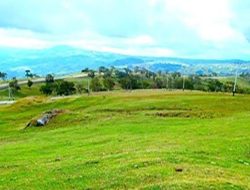 Wisata NTT, 16 Savana Indah yang Membuat NTT Menawan