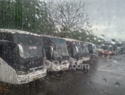 Jadwal Bus AKAP Bali ke Jawa Sabtu (29/11), Cek Harga Tiket!