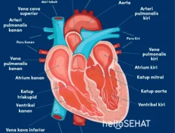 Jantung Berdebar Usai Minum Kopi? Ini 5 Cara Atasi Kafein yang Picu Palpitasi