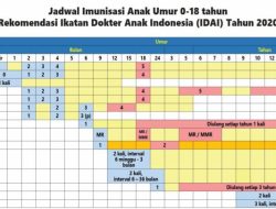 Jadwal Kapal PELNI KM Dorolonda Desember 2025: Rute dan Harga Terkini