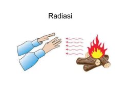 Radiasi Cs-137 Menyebar ke Industri Makanan dan Sepatu Global, Ini Daftar Perusahaan Terkena!