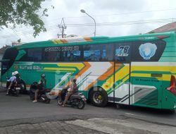 Jadwal Bus AKAP Bali ke Jawa Sabtu (27/12), Ini Harga Tiketnya!