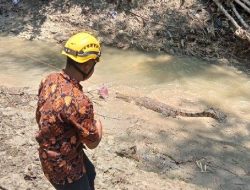 Kisah Rusli Nyaris Tewas Dihempas Buaya saat Perahu Terguling