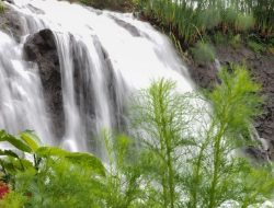 Wisata Alam Banyumas: 15 Air Terjun di Purwokerto untuk Liburan Keluarga dan Petualangan Menantang