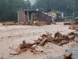 Warga Padati Kantor Bupati Aceh Tengah demi Akses Internet, Mahasiswa Kerjakan Tugas dan Hubungi Keluarga