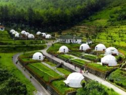 Dua Destinasi Glamping Keluarga di Malang yang Memikat Hati