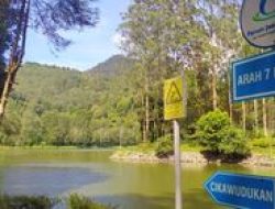 Laporan Walhi tentang Program KHDPK di Hulu Citarum: Evaluasi Perhutani dan Peningkatan Pengawasan Pemerintah