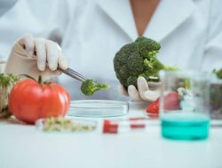 10 Jurusan S2 yang Dibutuhkan Dunia Kerja, Termasuk Psikologi