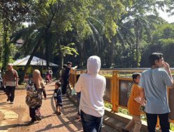 Libur Natal di Ragunan: Kakek-Nenek Ajak Cucu dari Cirebon