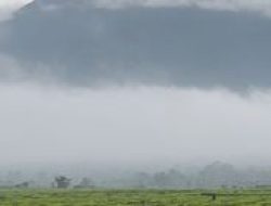 7 destinasi alam menarik di Jambi, dari gunung hingga danau