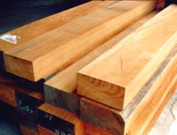 Kayu Terdampar di Lampung, PT Minas Pagai Lumber Kuasai Hutan Mentawai