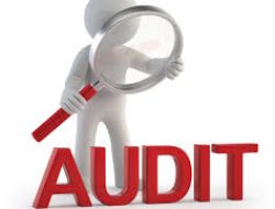 Audit Desember: Matikan Langganan yang Tidak Digunakan Sebelum Auto-Debit Tahun Baru