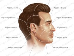 Cara Mudah Daftar Beasiswa Semen Indonesia untuk Kuliah Gratis
