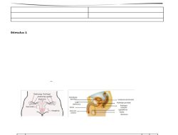 50 Soal IPA USBN Kelas 9 2026 Lengkap Kunci Jawaban