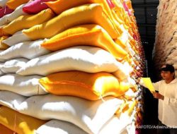 Wacana Bulog di Bawah Presiden Dapat Pengaruh Ganda pada Stabilitas Pangan