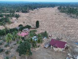 Aktor Banjir Kayu di Sumatra
