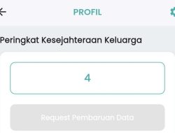 Cara cek NIK DTSEN 2026: Cek bansos dan status penerima
