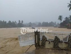 Banjir Lahap Dadok Tunggul Hitam, BPBD Padang Evakuasi Delapan Warga
