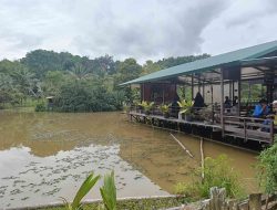 Kuliner Khas Kutai di Dapur Laiqa: Menikmati Jukut Hombong