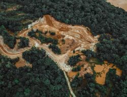 6 Perubahan Alam Indonesia yang Mengubah Dunia dalam 20 Tahun Terakhir