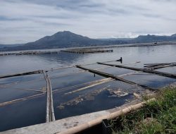 Danau Batur: Rahasia Racun Tersembunyi di Danau Vulkanik Bali