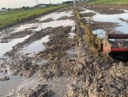Mengubah Sawah Girik Menjadi SHM