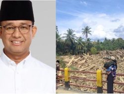 Anies: 97 Persen Deforestasi di Batangtoru Legal, 5,4 Juta Pohon Hilang