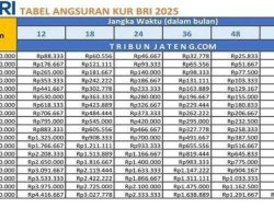 5 Kabupaten dengan Pengguna KUR Terbanyak di Sulsel, Cek Persyaratan dan Angsuran KUR BRI 2026 Rp100 Juta