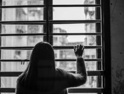 YLBHI Kritik Hukuman Kerja Sosial Pelaku Kejahatan: Bagaimana Pengawasannya?