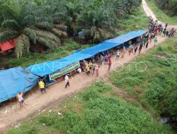 Akhirnya Konflik Gambut Jaya di Jambi Ditemukan Titik Terang, Menteri Transmigrasi Siap Koordinasi