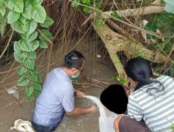 Mayat Bayi Mengapung di Saluran Irigasi Gegerkan Warga Depok Tengah Malam Tahun Baru 2026