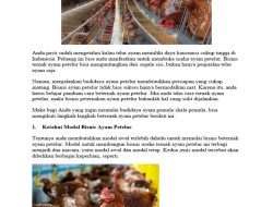 Mengapa Ayam Petelur Harus Betina? Jawaban PKWU Kelas 12 Semester 2