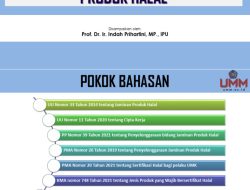 Penjelasan Kemenko tentang Perjanjian Tarif RI-AS dan Impor Produk hingga Sertifikasi Halal