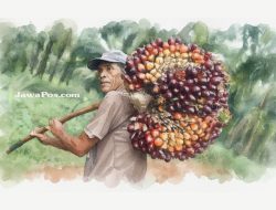 Penerjemahan Visi Kelapa Sawit sebagai Tanaman Ajaib Perlu Diawasi Sampai Implementasi