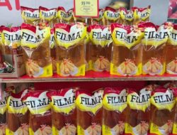 Promo Minyak Goreng Alfamart dan Indomaret 3 Februari 2026: Camar Diskon Rp12.500, Sania 2L Rp38.300