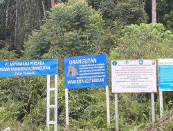 Keseimbangan Ekologi, Ekonomi, dan Masyarakat dalam Pengelolaan Hutan Kalbar
