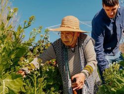 Dari berkebun hingga menaiki tangga, aktivitas singkat untuk hidup lebih lama