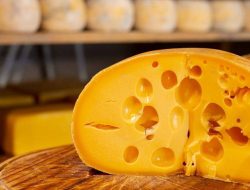 5 Contoh Bioteknologi Konvensional dalam Kehidupan Sehari-hari