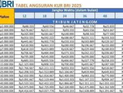 Tabel angsuran KUR BRI terbaru untuk pinjaman hingga Rp500 juta dalam 5 tahun