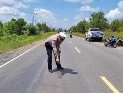 Santri Tewas Ditabrak Saat Menyeberang Jalan Tol di Lampung, Cari Kayu Bakar