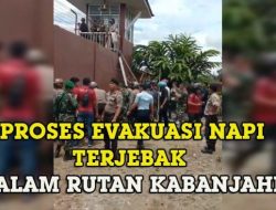 Pemicu Pelarian Napi Rutan Nganjuk Terungkap: Utang dan Galau Istri TKW