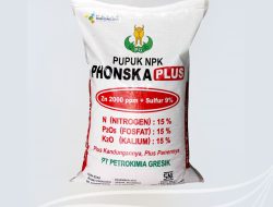 Profil Oleksandra Bytsenko, Pemain Gresik Phonska Plus Pupuk Indonesia, Jadi Ancaman Serius Juara Proliga 2026