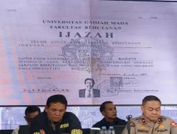 Pengaduan Pendukung Jokowi Soal Ijazah Palsu, Rismon Sianipar: Saya Akan Tanggapi