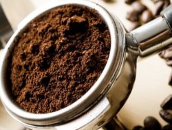 Barista Menyesuaikan Gilingan Kopi untuk Ekstraksi Sempurna