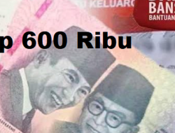 Bansos 2026 Cair Lagi, Ini Daftar Bantuan Beras, Minyak, BPNT, dan PKH