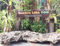 Harga tiket Gembira Loka murah dengan promo Lebaran 2026